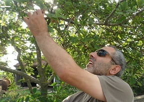 mustafademir