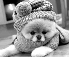 LightningLucy1's profile picture. Water Baby