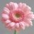 dani307929's profile image