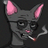 tarquindagrtemv's profile image
