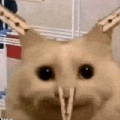 uhohxbt Profile Picture
