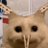uhohxbt's profile image