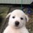 potatooo3o's profile image