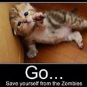 Haydn wheeler - @Rachelw28 - Twitter