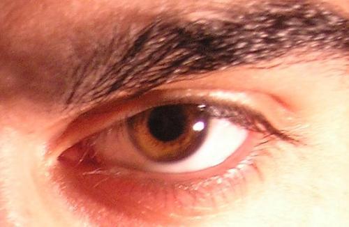 luison731's profile picture. Mérida, Yuc,  Adicto al buen sexo y al placer, no a lo vulgar,  llegó a todo hasta donde quieran.  Respeto  es igual  a placer. SINGLE y Bisexual activo