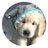 sepxl_23's profile image