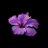 1wqxpw1's profile image
