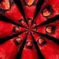 The original cardinal sin. PFP: @GuinevereXiv