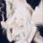 Trfajo7's profile image