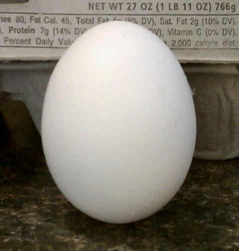 rawblawb's profile picture. 