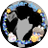 amoornv's profile image