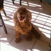 bethdwyerri's profile picture. 