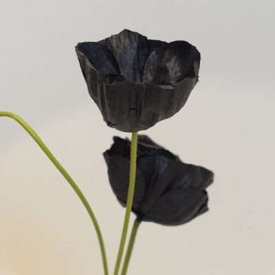 내가 맺어준 인연만 300쌍이 넘음. 
그 사람이 맞는지, 잘 될지, 끝날지 궁합봐드림
궁합에 가장 중요했던 누가 당기냐 누가 받아주냐 넣고 임상경험 넣고, 도사님께 배운 자료들 다 정리해서 데이터 넣고 나왔음. 커플지침서.