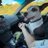 JaniceMeng60116's profile image