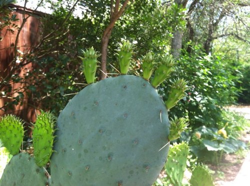 JeppeMarie's profile picture. 