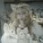 n11ne__'s profile image