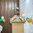 VikasChauhv5iu's profile image