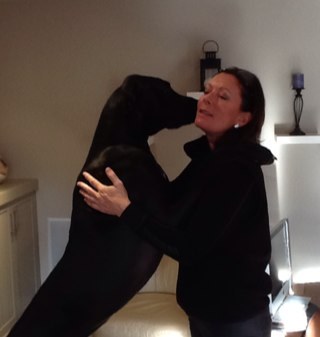 belairek's profile picture. CEO Shared Services West