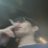 ghstfces's profile image