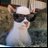 Mbekkck's profile image