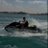 RxZemmour's profile image
