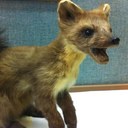 Chris Brockett - @c_brocko - Twitter