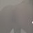 kojhgy's profile image