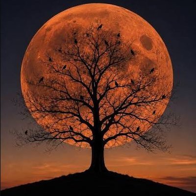 Ecclesiastes 10:2 - The heart of the wise inclines to the right, but the heart of the fool to the left
.