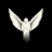 JunijaSalnikova's profile image