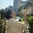 doarammie's profile image