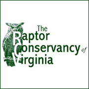 raptorsva's profile picture. RCV is an all-volunteer non-profit organization dedicated to rehabilitation & release of native Virginia raptors, & education of the public about raptors.