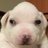 aw2hye's profile image