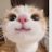 positive_attid's profile image