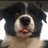 PuppyLaVey's profile image