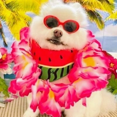 ホロと野球が好きな音ゲーマーです！
一味、かざま隊、めら組です！！
推し球団は @Rakuten__Eagles
人見知りなので出来れば仲良くしてください
無言フォロー失礼します