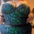 Peaches00tk's profile image