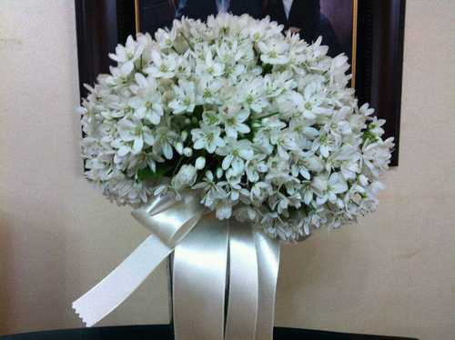 aeddi83's profile picture. 발랄한 회사원, KAIST, LG Chem, Researcher.