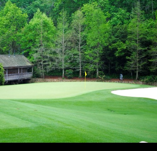 dokelly99's profile picture. 