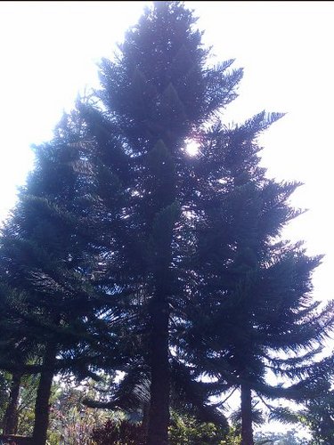 ryobuk12's profile picture. 