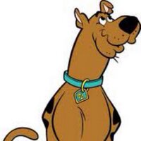 Sexual Scooby Doo (@ruhrohscoobs) 's Twitter Profile
