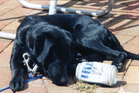 TomB_19's profile picture. 