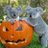 michael_dearth's profile image