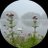 rahaf90888's profile image