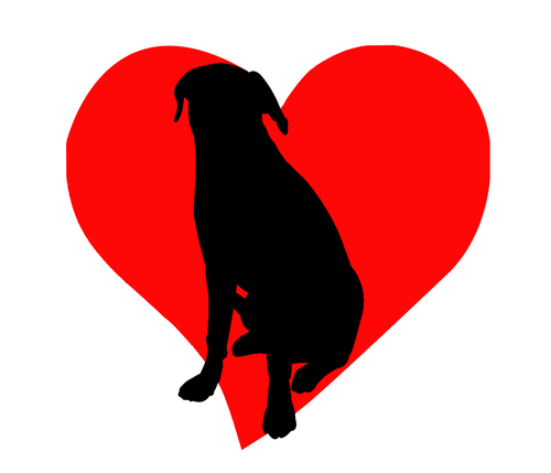 ColdNoseWarmHrt's profile picture. Certified Professional Dog Trainer