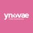 ynovae's profile image