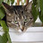 AnushkaUljanova's profile image