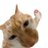 luvjk_71's profile image