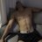 IdellDe66o's profile image