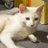 shan10783287369's profile image
