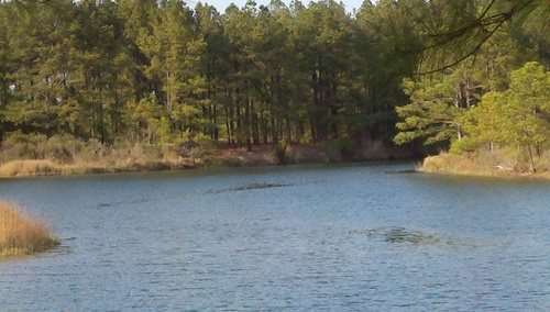 JerryBliley's profile picture. Life is busy, u have to stop & look around if u want to enjoy life. Finding balance with my wife & boys. Finding balance so the spokes on my wheel are even.